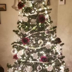 Meet your Posher, Tracey